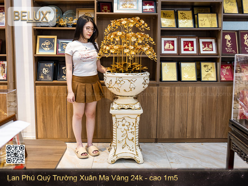 Chậu lan phú quý trường xuân dát vàng 24k&nbsp;